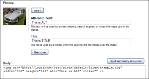 insert-title-alt-tag-issues2