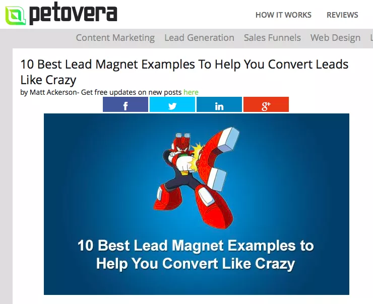 Lead magnet examples for conversions.
