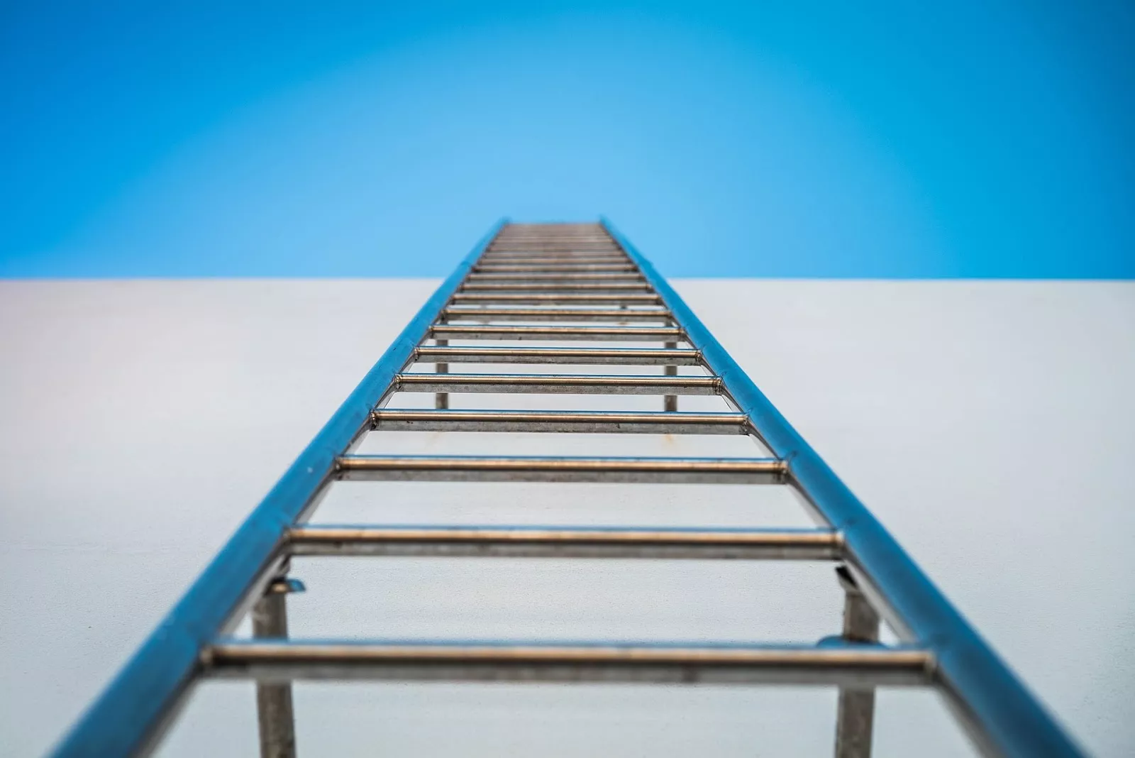 Metal ladder to growth.