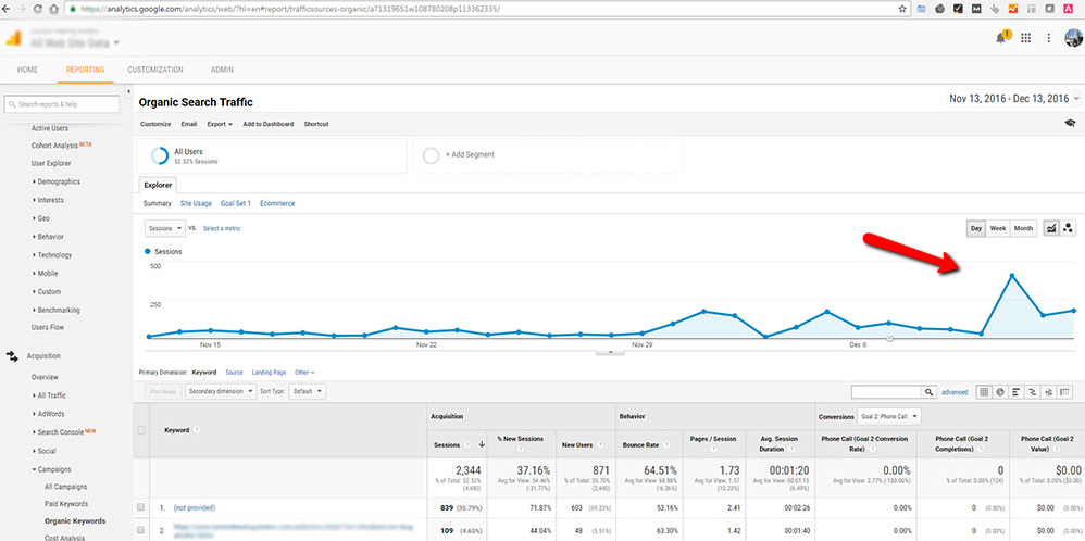 Google Analytics organic traffic spike.