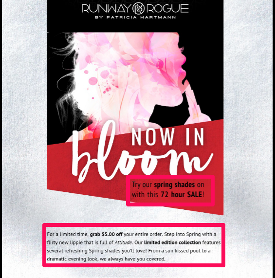 Spring makeup sale, 72 hours.