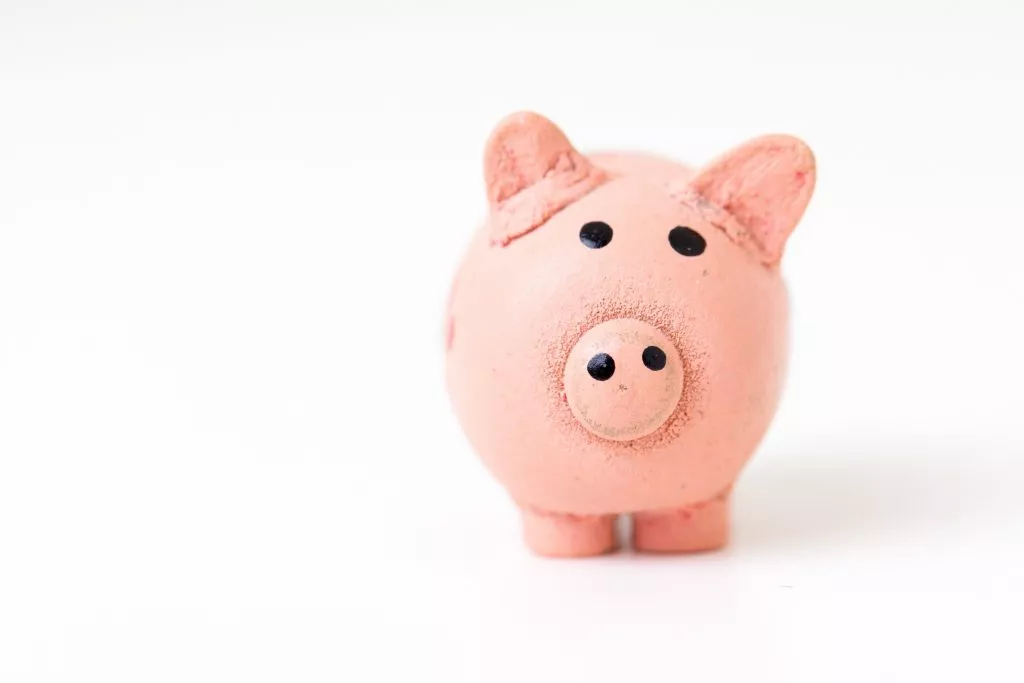 Pink piggy bank, value for money.
