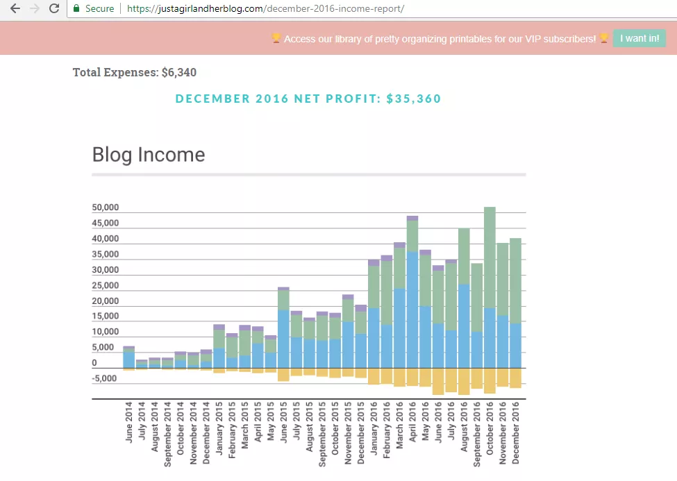 Blog income graph 2014-2016.