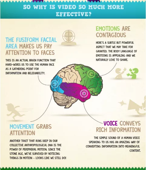 Brain function, video effectiveness, visuals.