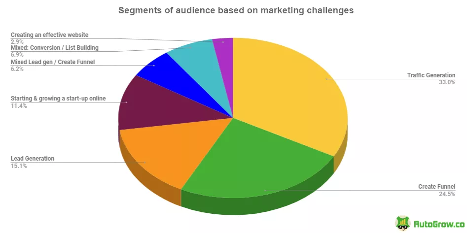 Audience segments by marketing challenges.