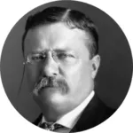 Theodore Roosevelt, quote about striving.