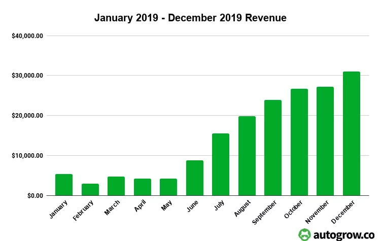 2019 revenue growth by month.