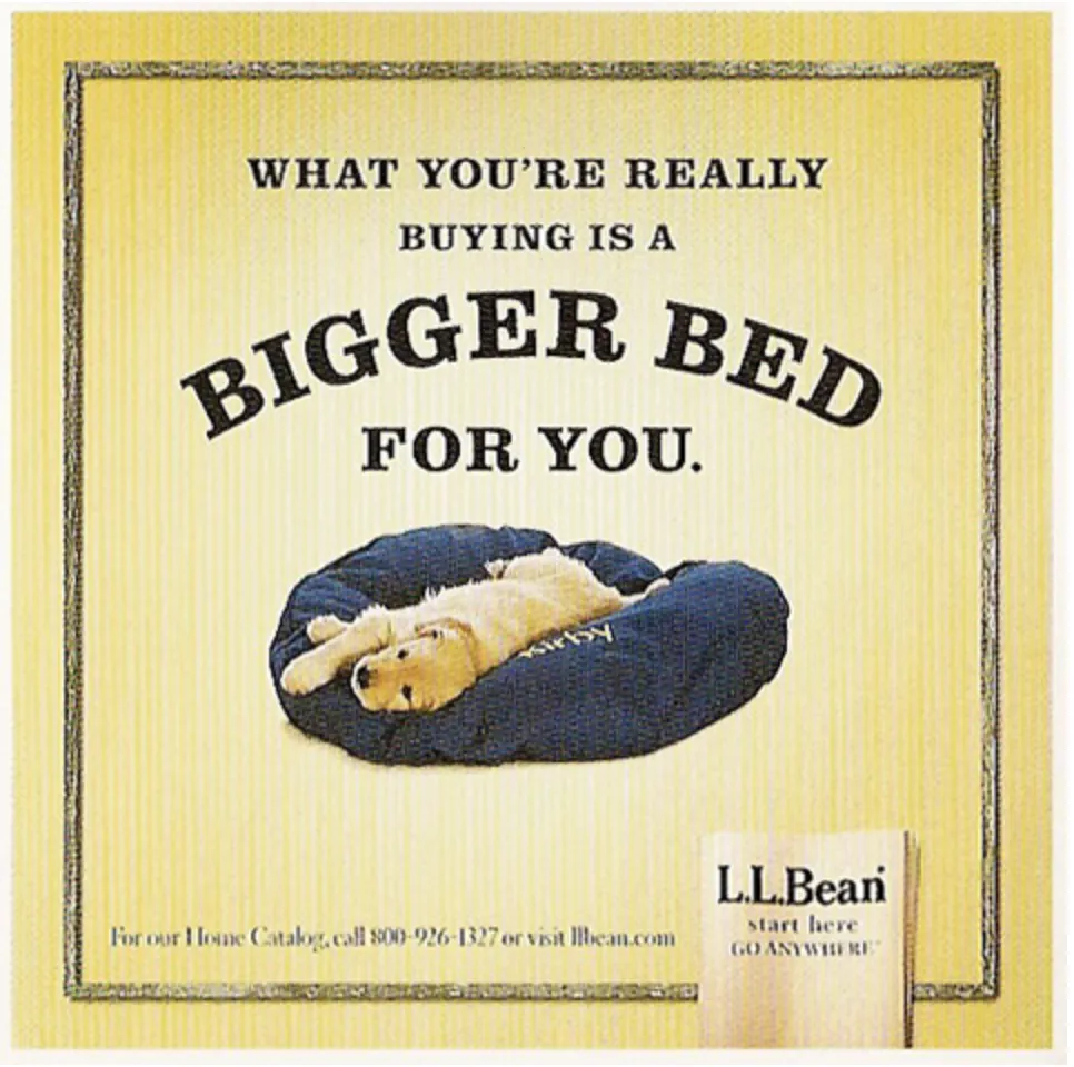 L.L.Bean ad, dog bed.