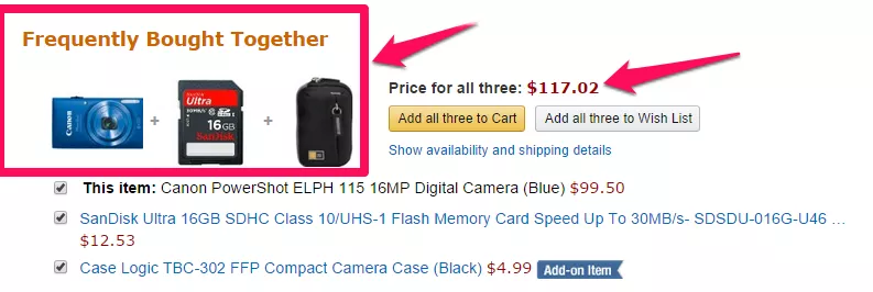 Camera, memory card, and case bundle.