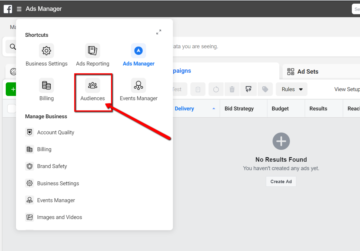 Facebook Ads Manager Audiences.