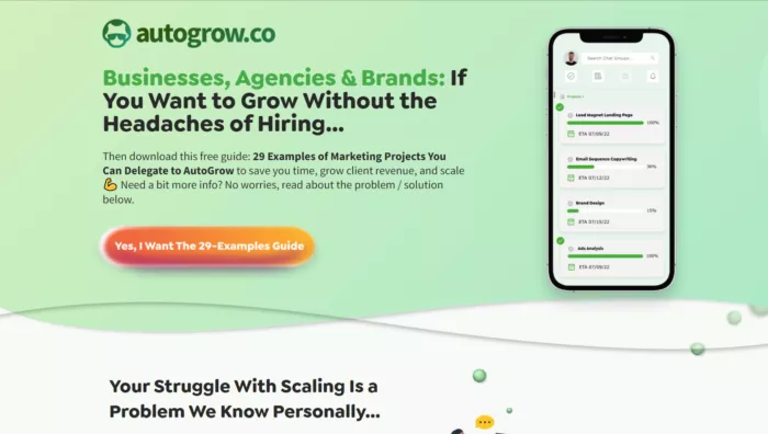 Landing page for lead magnet.