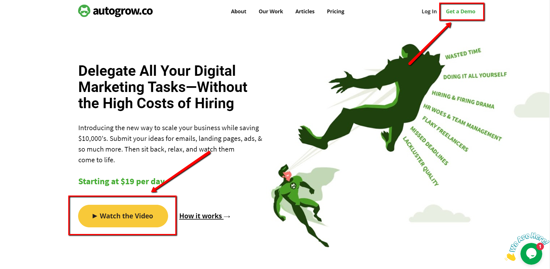 Demo video opt-in form.