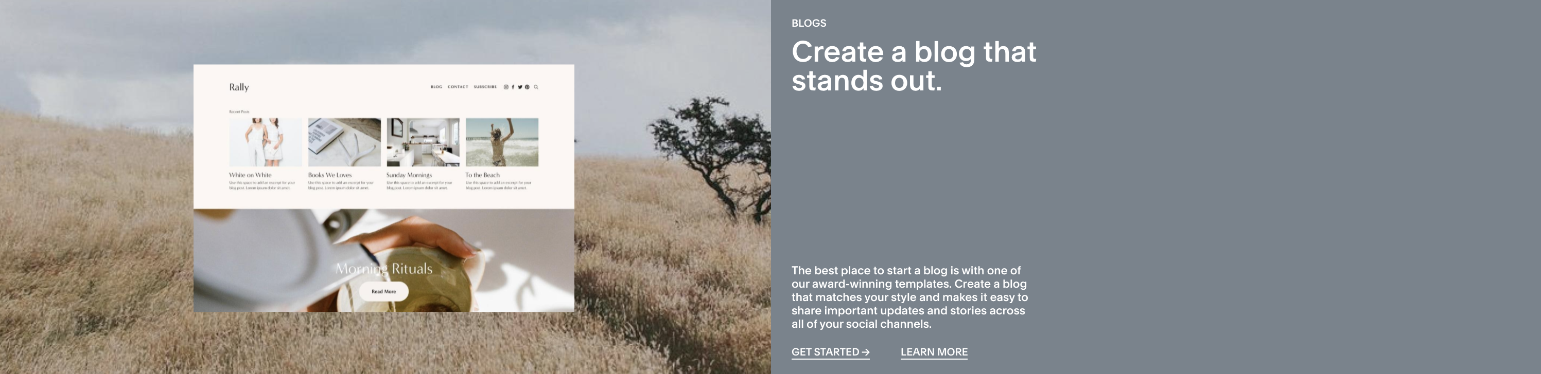 Website design example.