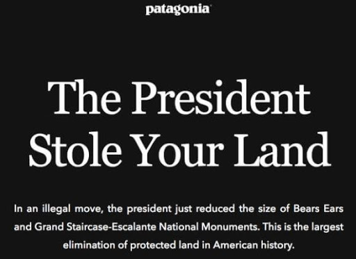 Patagonia's anti-land-theft statement.