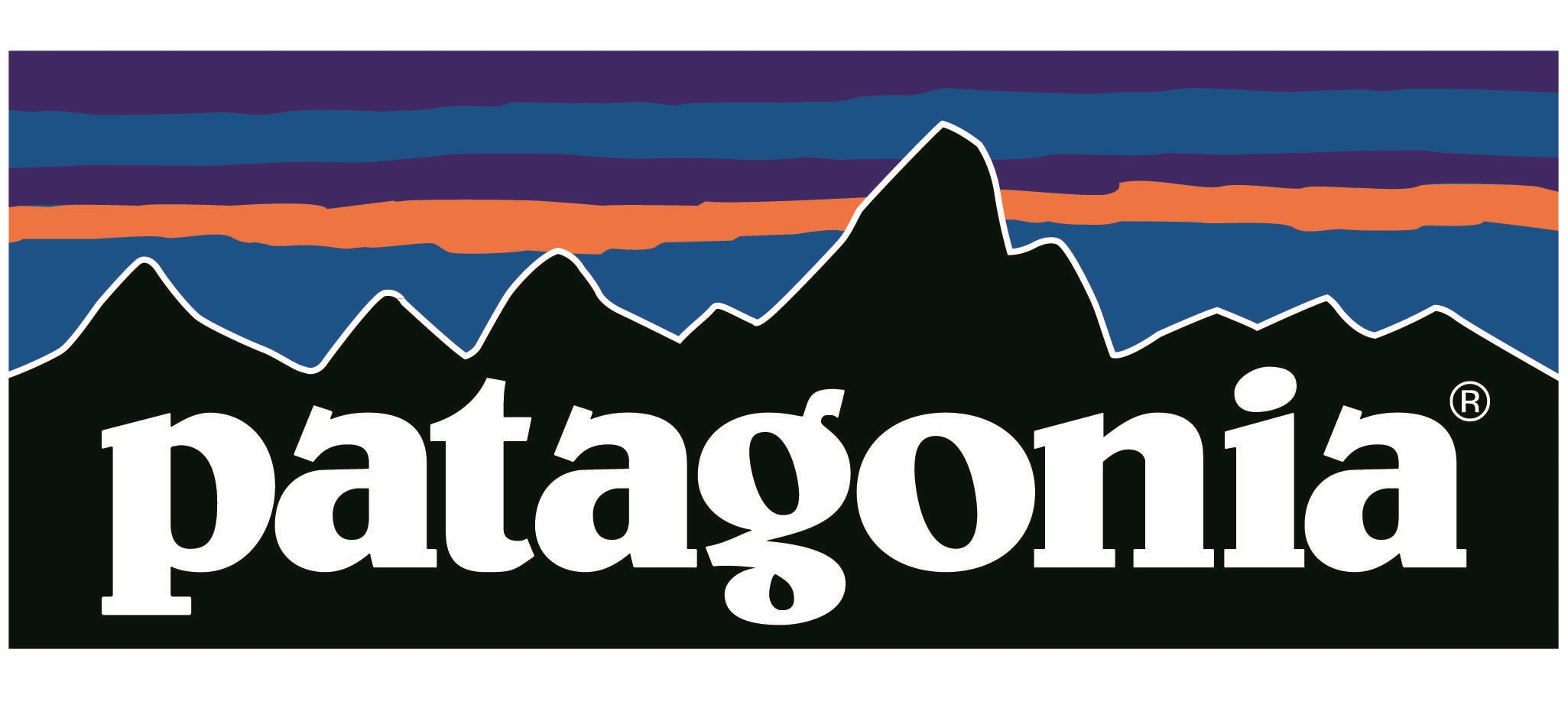 Patagonia logo, outdoor brand.