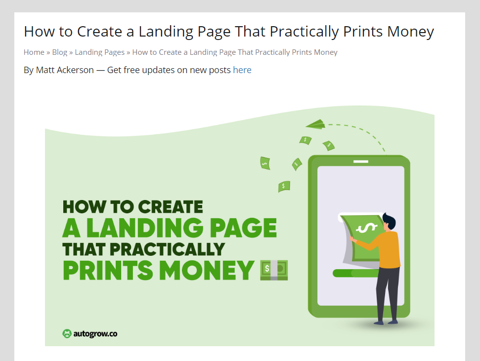Landing page tutorial; money-making tips.