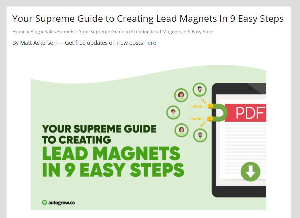 Lead magnet guide, 9 easy steps.