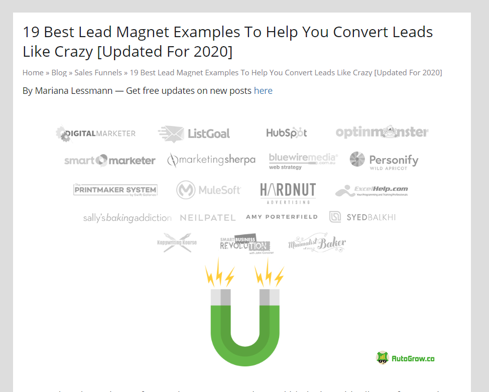 Lead magnet examples for conversions.
