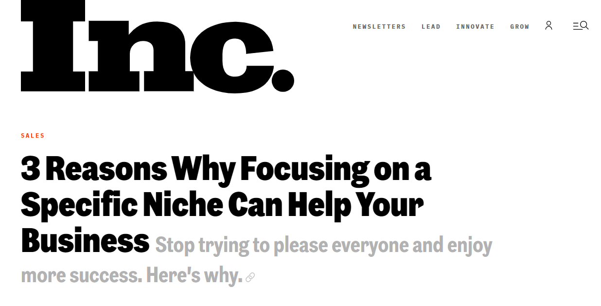 Inc. article on business niches.