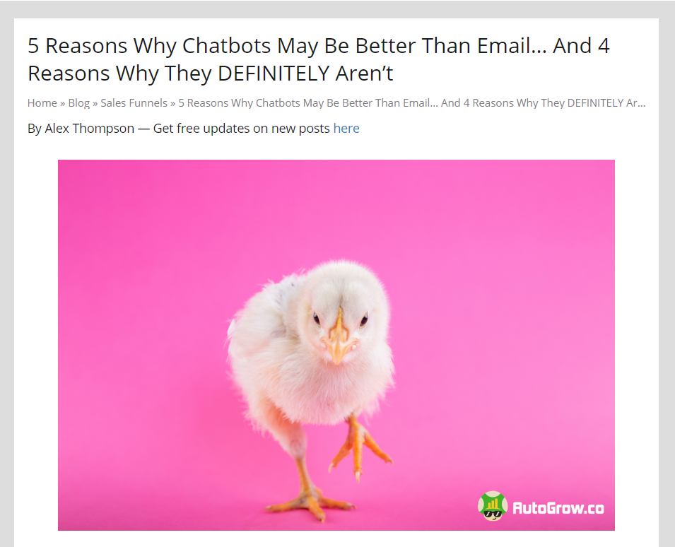 Chick focused on chatbot vs email.