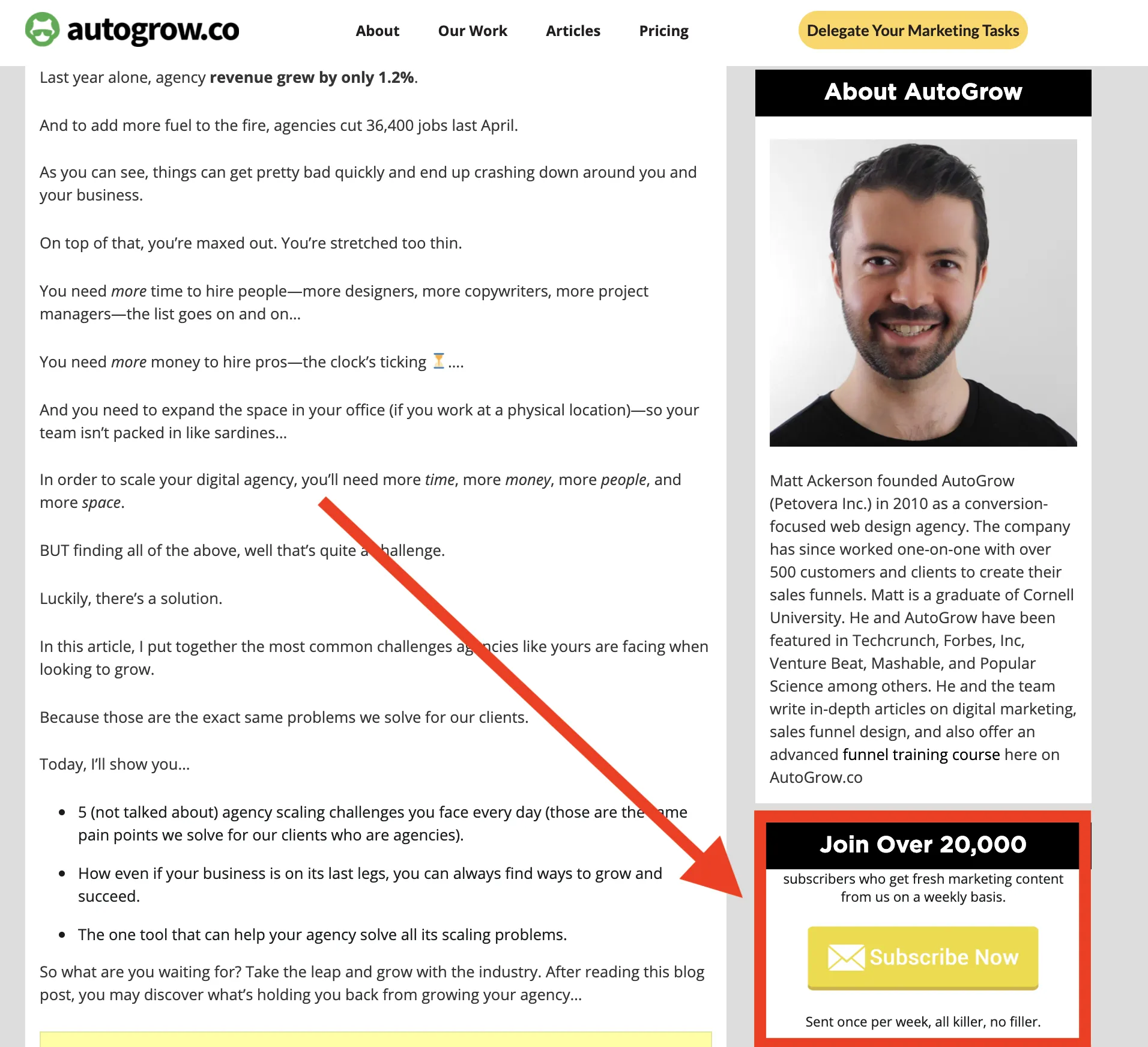 Newsletter signup, free marketing guide.