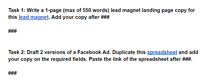 Copywriting tasks for lead magnets and ads.