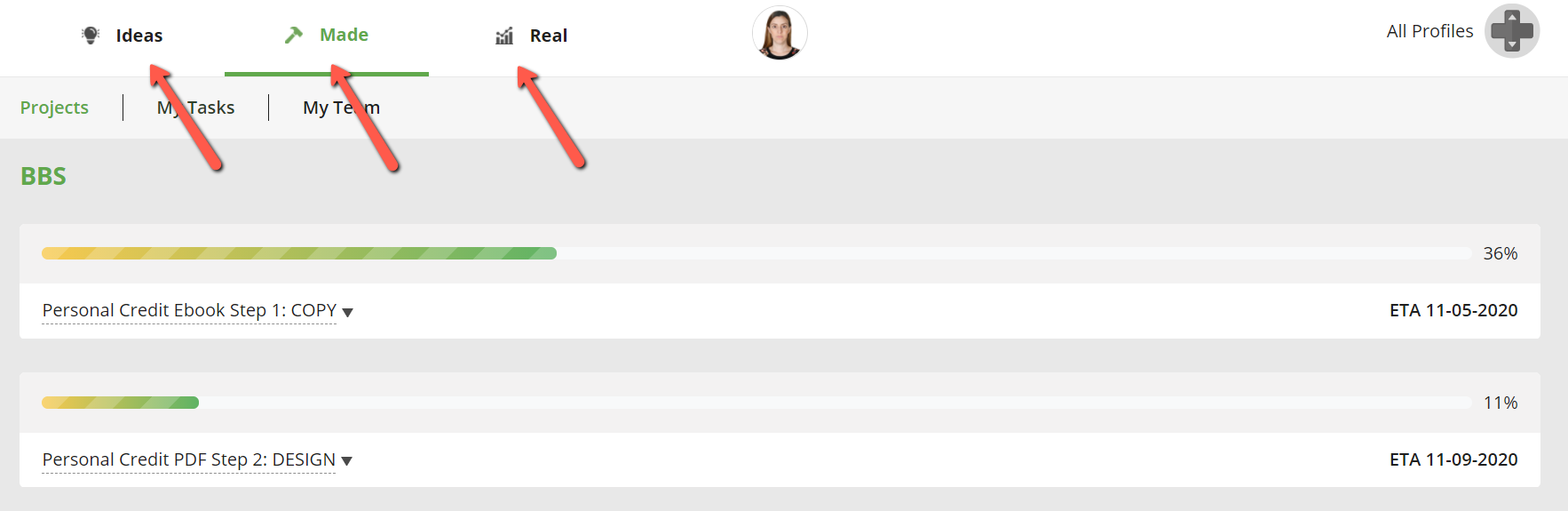 Progress bar showing project status.