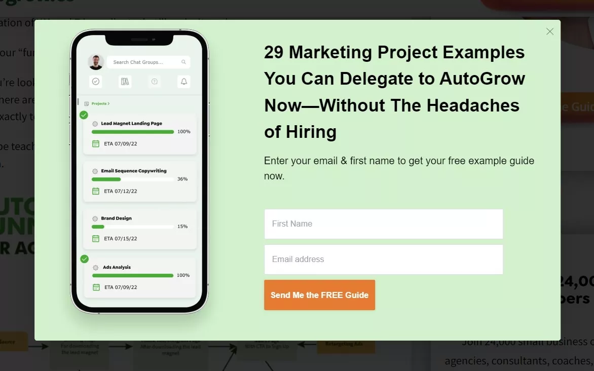 Exit pop-up form for lead capture.