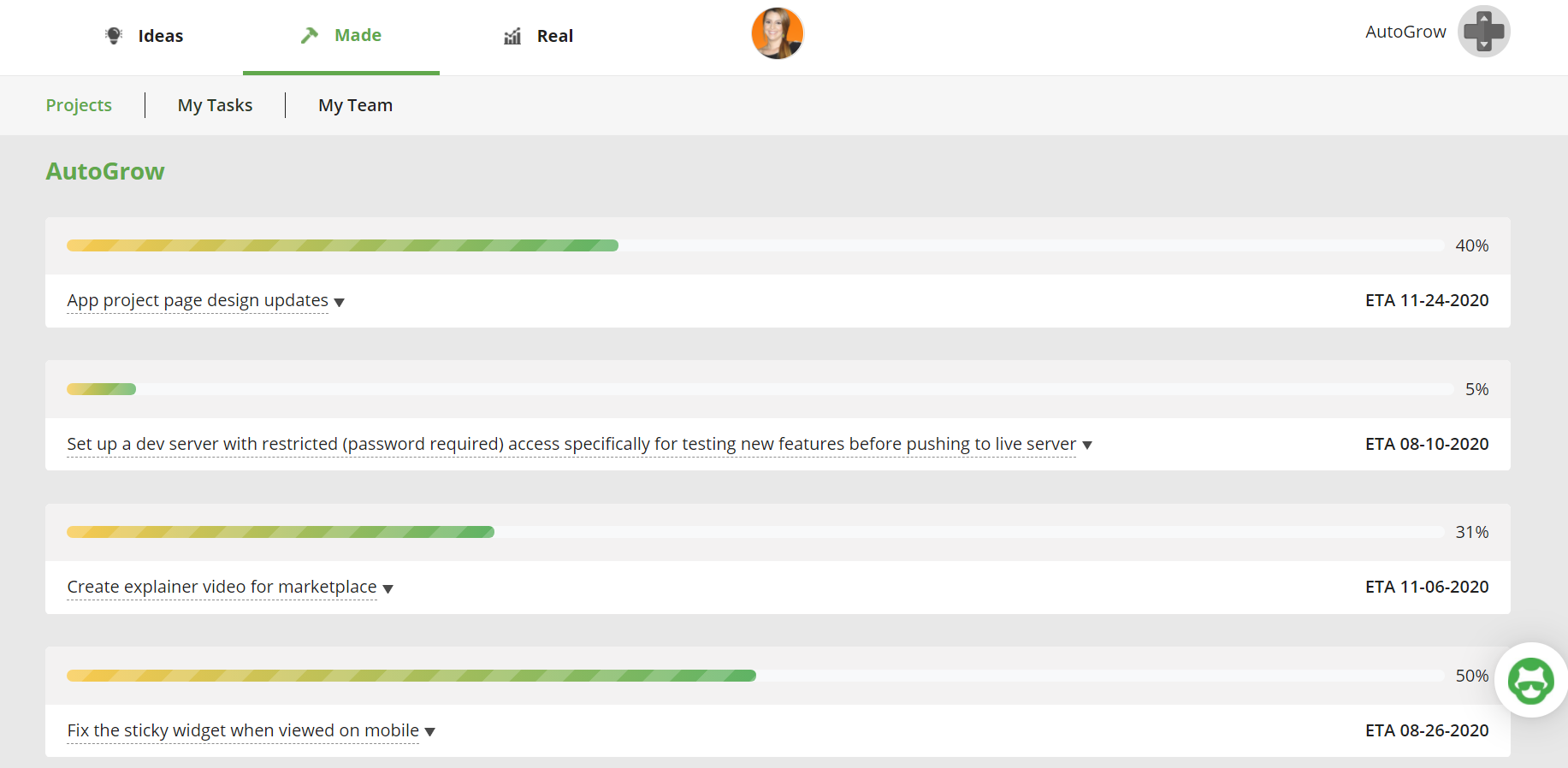 Project progress dashboard.