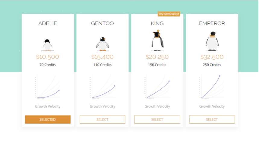 Pricing tiers for advertising services.