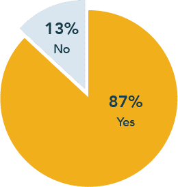 87% of companies have diversity initiatives.