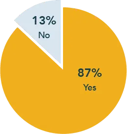 87% of companies have diversity initiatives.