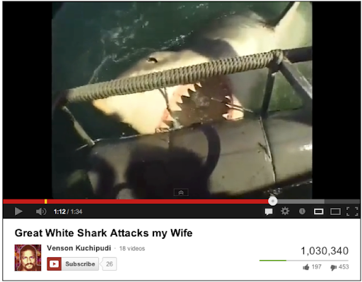Shark attack video.