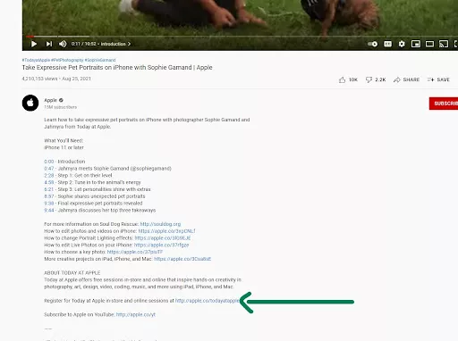Learn pet portrait tips on iPhone.