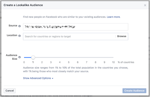 Facebook lookalike audience creation.