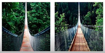 Two suspension bridges, price comparison.