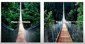 Comparing train vs. plane travel costs.