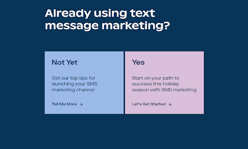 SMS marketing guide options.