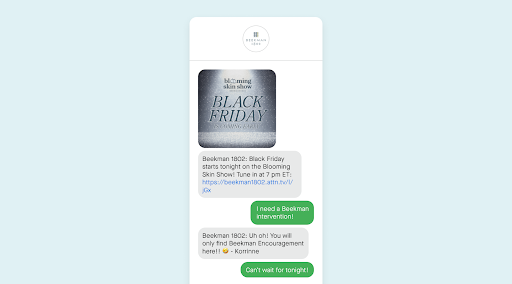SMS marketing promotion for Black Friday.