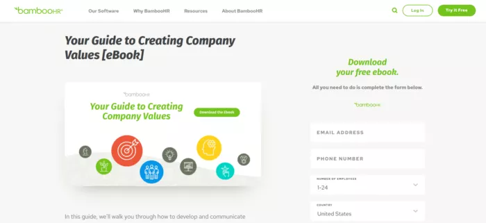 Ebook download form for company values.