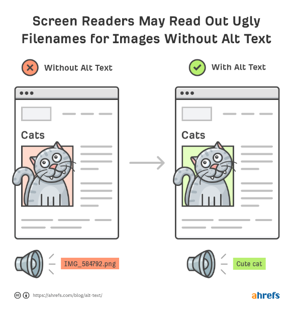 Cute gray cat image.