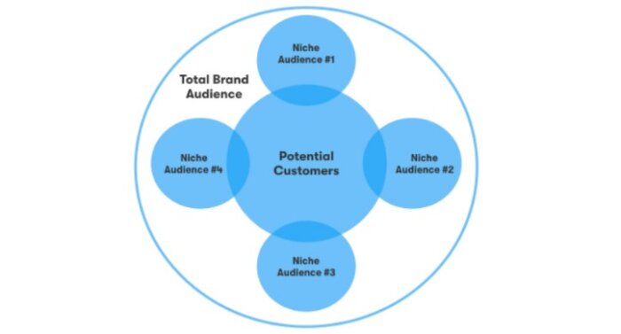 Target audience segmentation.