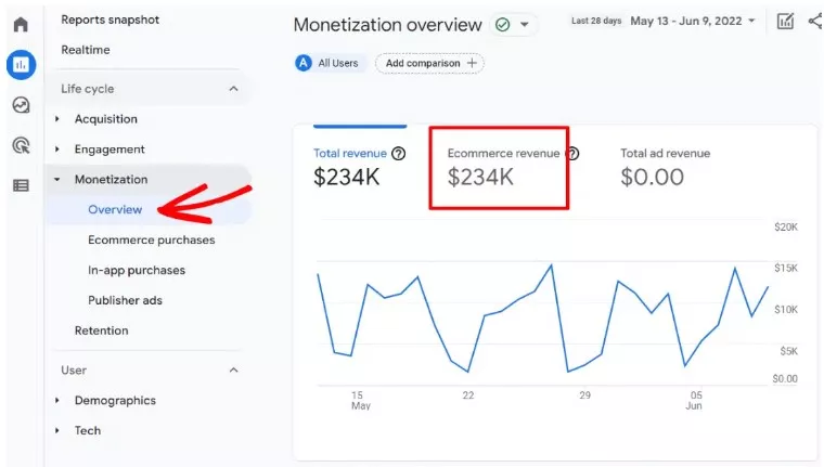 Marketing metrics overview, showing revenue.