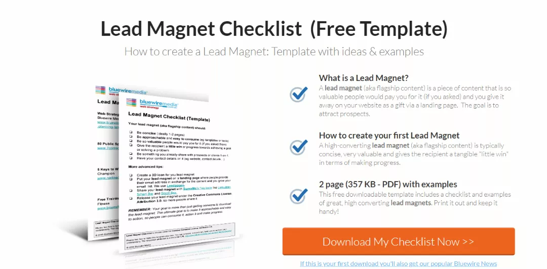 Lead magnet checklist template. Free download.