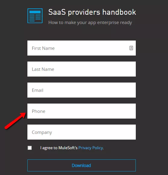 Lead magnet form with phone field.