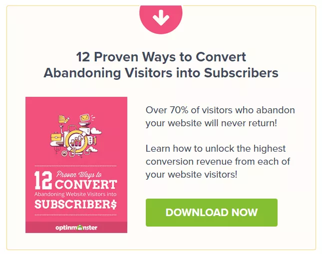 Ebook: convert abandoning visitors.