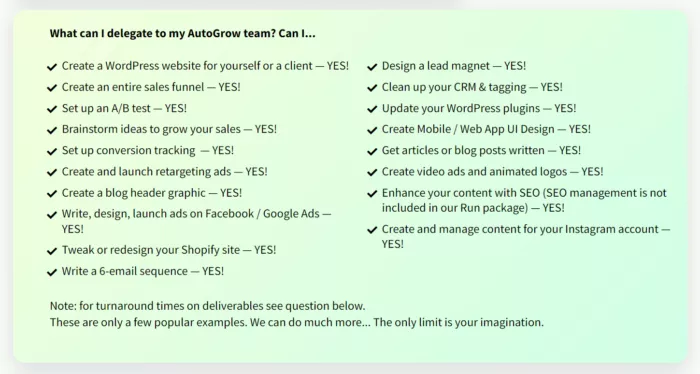 Delegated tasks for my business.