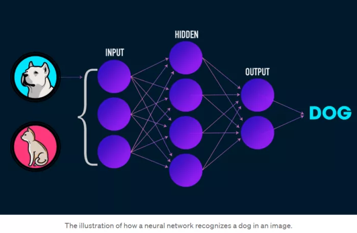 Neural network image recognition.