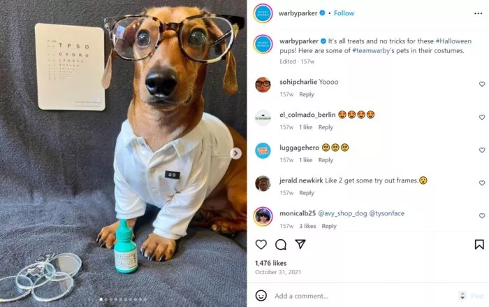 Dog wearing glasses, cute, stylish.