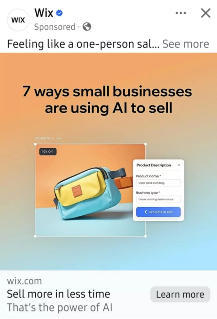example of wix ad segmentation